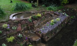 10368215_321315261325725_7002525908471963749_n