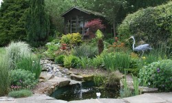 10368215_321315261325725_7002525908471963749_n